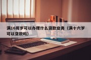 满16周岁可以办理什么贷款业务（满十六岁可以贷款吗）