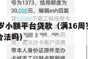 满16周岁小额平台贷款（满16周岁小额平台贷款合法吗）