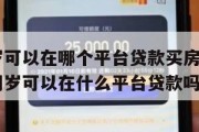 满16周岁可以在哪个平台贷款买房呢视频（已满16周岁可以在什么平台贷款吗）