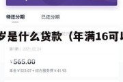 满16周岁是什么贷款（年满16可以贷款的平台）