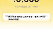 满16周岁的网络贷款有哪些（年满16可以贷款的软件）