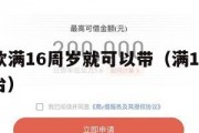 什么贷款满16周岁就可以带（满16可以贷款的平台）